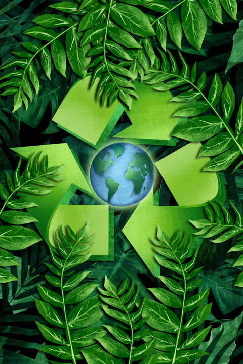 Supplements That Support You — And the Planet
