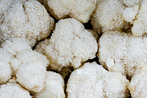 Image of Lion's Mane Mushrooms